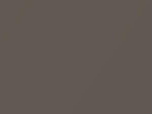 Audi A4 Dakar Beige Metallic 2010 9X, 9X9X, LY1Q, Y1Q