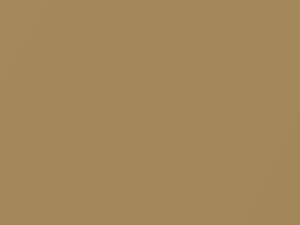 Suzuki All Models Mars Gold Metallic 2011 Z2V