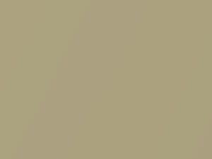 Nissan All Models Papyrus Beige Metallic 2004 ZW5 - Scratch Repair