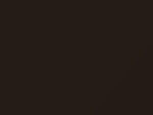 Mercedes-Benz Sls Class Amg Sepang Brown Metallic 2015 491, 8491