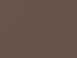 Toyota All Models Copper Brown Pearl 2001 4P1