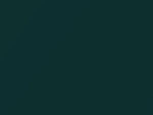 Ford Focus Juice Green Pearl 2000 3, 34, 35, 36, 37, 38, 3A4, 3A5, 539, W, W2, XSC2790 - Scratch Repair