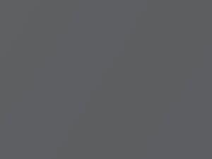 Fiat All Models Nuovo Grigio Metallic 2010 617B