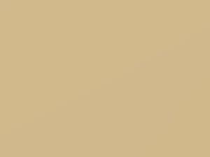 Fiat Qubo Avorio Paganini 2011 228A - Scratch Repair