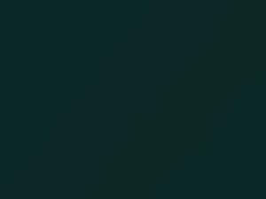 Audi All Models Kaktusgruen Pearl 2001 LZ6L