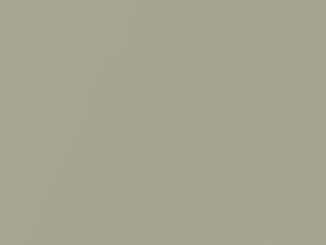 Land Rover Freelander Atacama Sand Metallic 2008 916, NAU - Scratch Repair