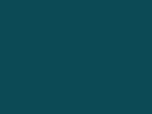 Pontiac All Models Bright Aqua Metallic 1992 43