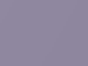 Toyota Starlet Light Purple Metallic 1997 937