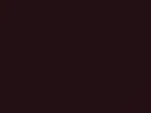 Toyota All Models Rose Red Mica 2003 3M9