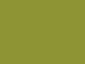 Acura Nsx Citrous Yellow Metallic 2000 GY22M