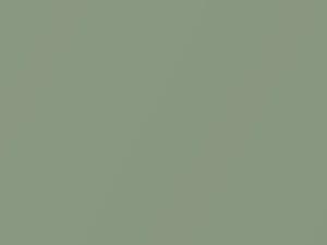 Fiat All Models Verde Lichene Metallic 2011 359A