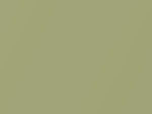 Ford All Models Lime Gold Metallic 2006 M7135A, P1