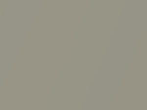 Cadillac Bls Parchment Silver Metallic 2009 1OU, 293 - Scratch Repair