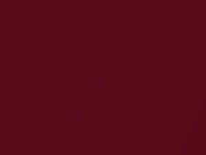 Nissan All Models Red Mica 2004 AY3