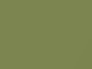 Suzuki All Models Reed Green Metallic 2011 Z3F