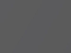 Kia Sedona Bright Platinum Metallic 2004 C7