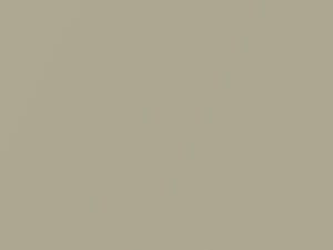 Nissan All Models Beige Metallic 2000 EV5 - Scratch Repair