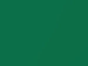 Ford Fiesta Mint Green Metallic 1995 535, D1, P, P9, U, U4, U5, U6, U7, U8, XSC2737 - Scratch Repair