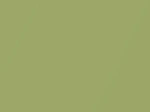 Toyota All Models Lime Green Metallic 2007 G40