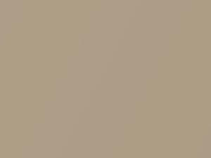 Mitsubishi All Models Santa Fe Beige Metallic 1999 AC11286, C86