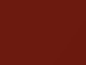 Toyota All Models Red Mica 1998 3N3