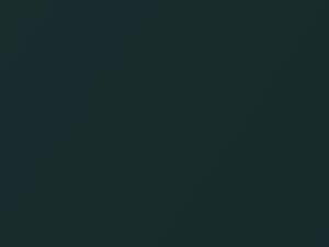 Nissan Sentra Jaded Pearl 2000 DW2 - Scratch Repair