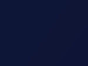 Nissan All Models Dark Blue Pearl 2009 BW6