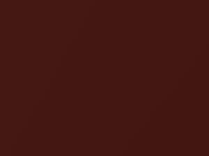 Daewoo All Models Russet Brown Metallic 1998 66U