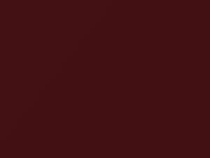 Volkswagen New Beetle Winter Red Pearl 2006 L4