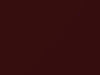 Daewoo Leganza Autumn Brown Metallic 1997 69U