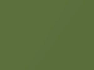 Honda Element Dx Kiwi Green Metallic 2006 GY25M