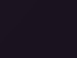 Volkswagen All Models Dark Violett Pearl 2006 9968 - Scratch Repair