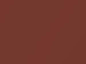 Nissan All Models Coffee Metallic 2011 RT1