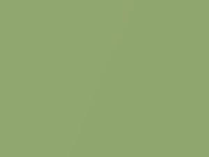 Volkswagen All Models Cyber Green Metallic 1997 L9, LG6V