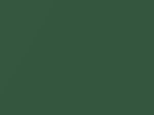 Isuzu All Models Forest Green Mica 1999 863, G802, G802P902-0
