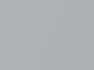 Fiat All Models Grigio Chiaro Metallic 1999 655, 661A, EYC