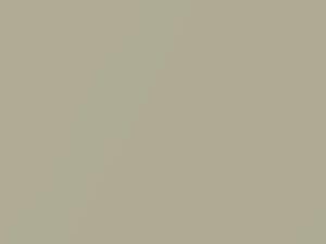 Fiat All Models Golden White/Golden White Metallic 2015 506, KCY