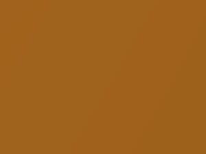 Honda All Models Sundance Gold Metallic 2000 YR529P - Scratch Repair