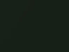Ford All Models Woodland Green Metallic 1998 FV, M6873A