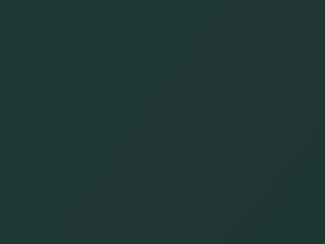 BMW 8 Series Vermontgruen Metallic 2000 356