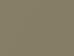 Nissan All Models Silica Gold Metallic 2002 BEY2, EY2 - Scratch Repair