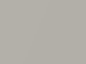 Toyota All Models Light Gray Metallic 2003 UCAF0