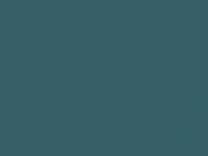 Nissan All Models Turquoise Pearl 2011 FV1
