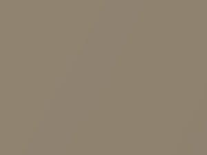 Chevrolet All Models Elegant Beige Metallic 2001 65U - Scratch Repair