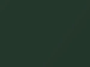 Cadillac Seville Dark Meander Metallic 2003 48 - Scratch Repair