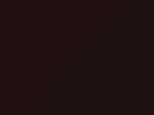 Mercedes-Benz S Class Designo Braun Metallic 1999 478, 8478