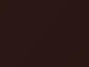 Mitsubishi All Models Dark Brown Pearl 2011 AC11276, C76