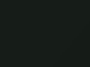 Hyundai Santa Fe Dark Emerald Green Metallic 2006 NS - Scratch Repair