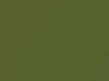 Infiniti All Models Olive Green Metallic 2006 J10