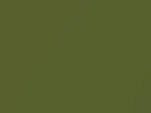 Nissan All Models Olive Green Metallic 2005 J10